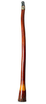 Kristian Benton Didgeridoo (KB404)